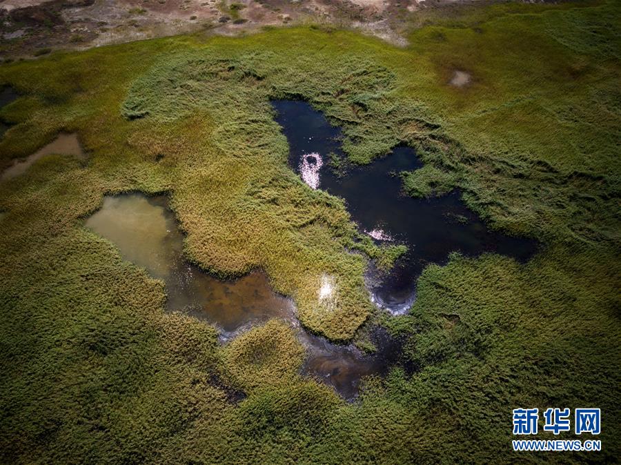 (環(huán)境)(2)湖沙相映